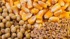 بسته حمایتی دولت برای تولیدکنندگان پس از حذف ارز 28500