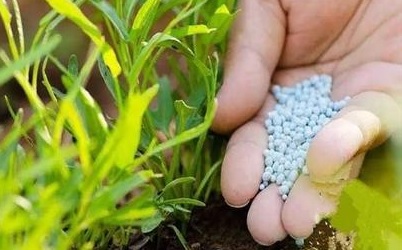   سود نماد‌های اوره‌ای در پایان سال ۱۴۰۲ چقدر خواهد بود؟