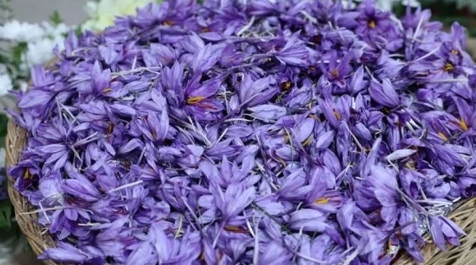  معامله 120 میلیارد تومان گواهی زعفران در بورس کالا