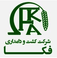 سهم زفکا را بخریم یا خیر؟